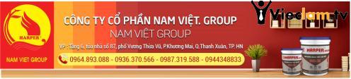 Logo Tập đoàn Nam Việt