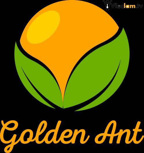 Logo CÔNG TY TNHH GOLDEN ANT