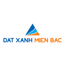 Logo Công ty Cổ phần Địa ốc Viethomes