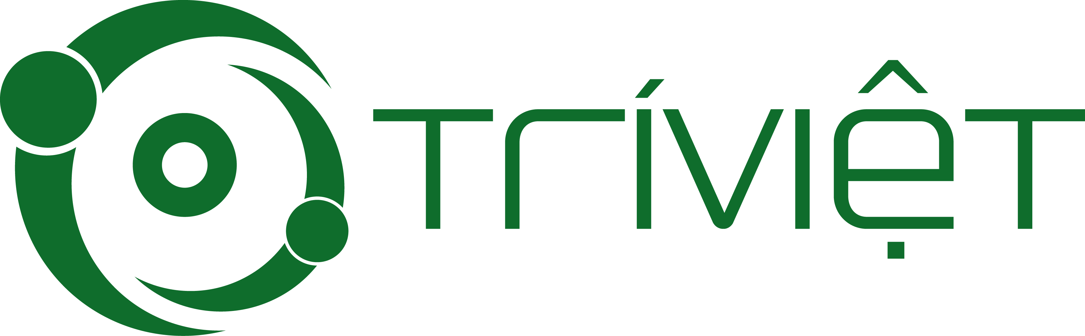 Logo Công ty TNHH Trí Việt Quốc Tế