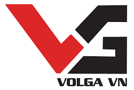 Logo Volga VN