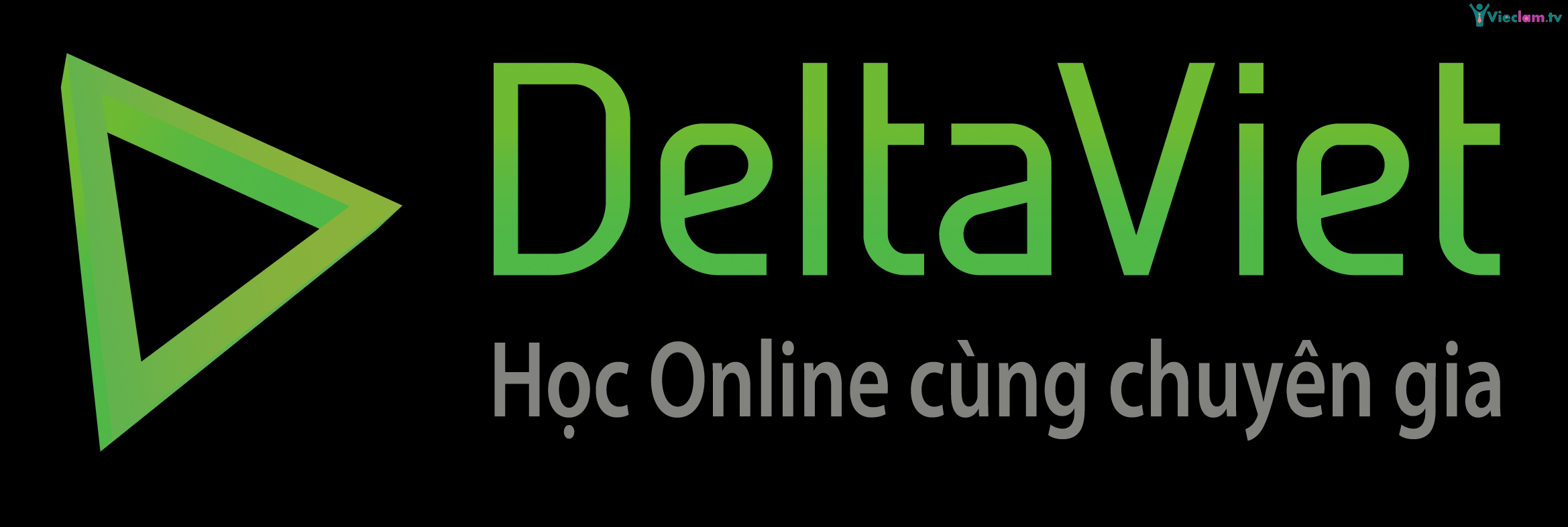 Logo Công ty cổ phần DeltaViet Education