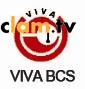 Logo VIVA BUSINESS CONSULTING SERVICE CO., LTD