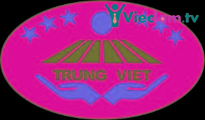 Logo Trung Việt