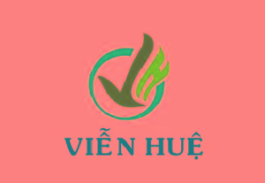 Logo Công ty TNHH Viễn Huệ Việt Nam