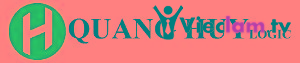 Logo QUANG HUY LOGIC