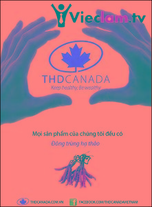 Logo Công ty TNHH THD Canada Việt nam