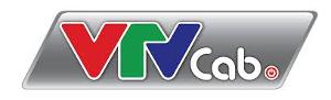 Logo Tổng công ty truyền hình cáp Việt Nam