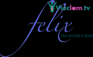 Logo Công ty Cổ Phần Công Nghệ Felix