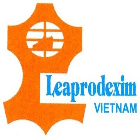 Logo Công ty cổ phần Da Giầy Việt Nam
