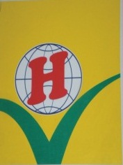 Logo Công ty cổ phần Kim Hoàng Hảo_CN Đà Nẵng