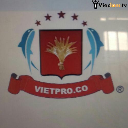 Logo Công ty TNHH Vietpro