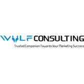 Logo Wolf Consulting 