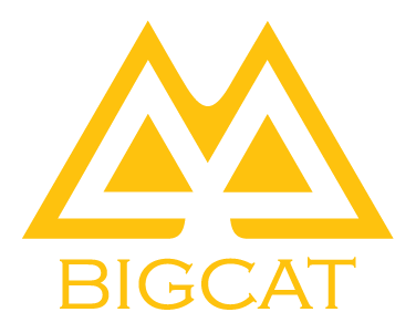 Logo Công ty TNHH Giải Trí Truyền Thông Big Cat