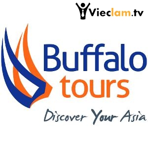 Logo Buffalo Tours