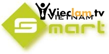 Logo Vietnamsmart