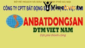 Logo Công ty CPTT BĐS Đô Thị Mới Việt Nam