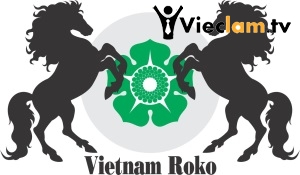 Logo Công Ty TNHH Xuất Nhập Khẩu và Thương Mại Roko ViệtNam