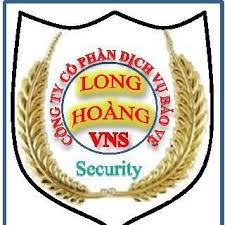 Logo Long Hoàng VNS