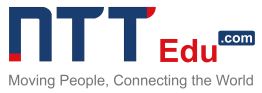 Logo NTTGROUP
