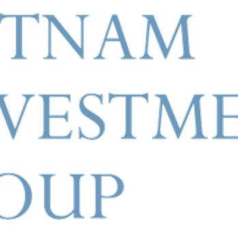 Logo Công ty TNHH Tư Vấn Vi (Vietnam Investment Group)