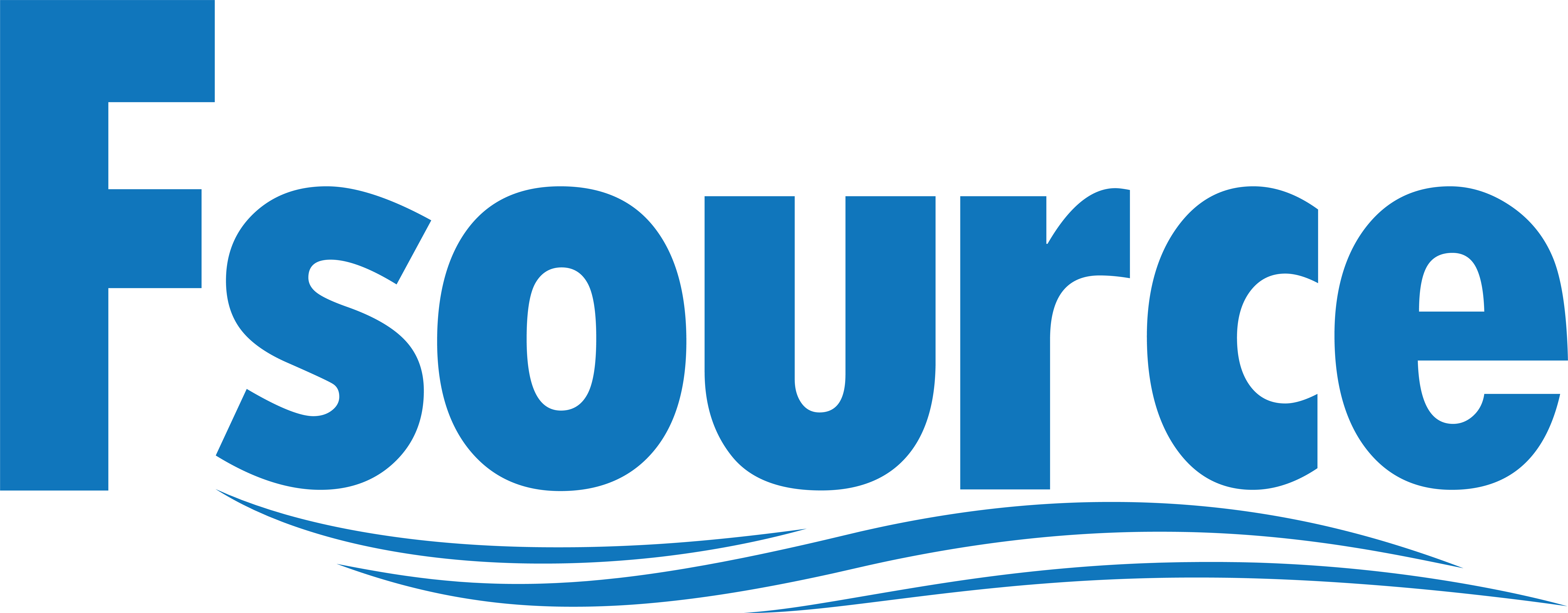Logo CÔNG TY TNHH FSOURCE VIỆT NAM