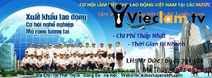 Logo Trung Tâm Việt Nhật