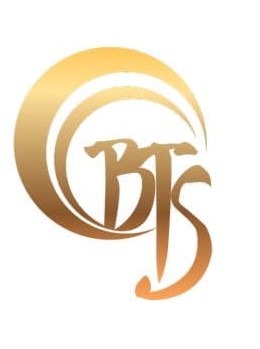 Logo BTS Co LTD