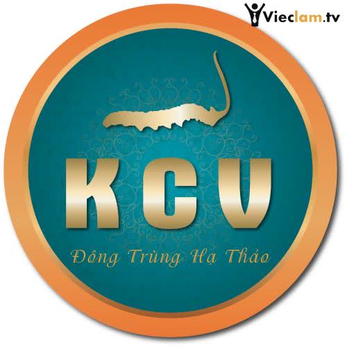 Logo Kim Cương Vàng Plus