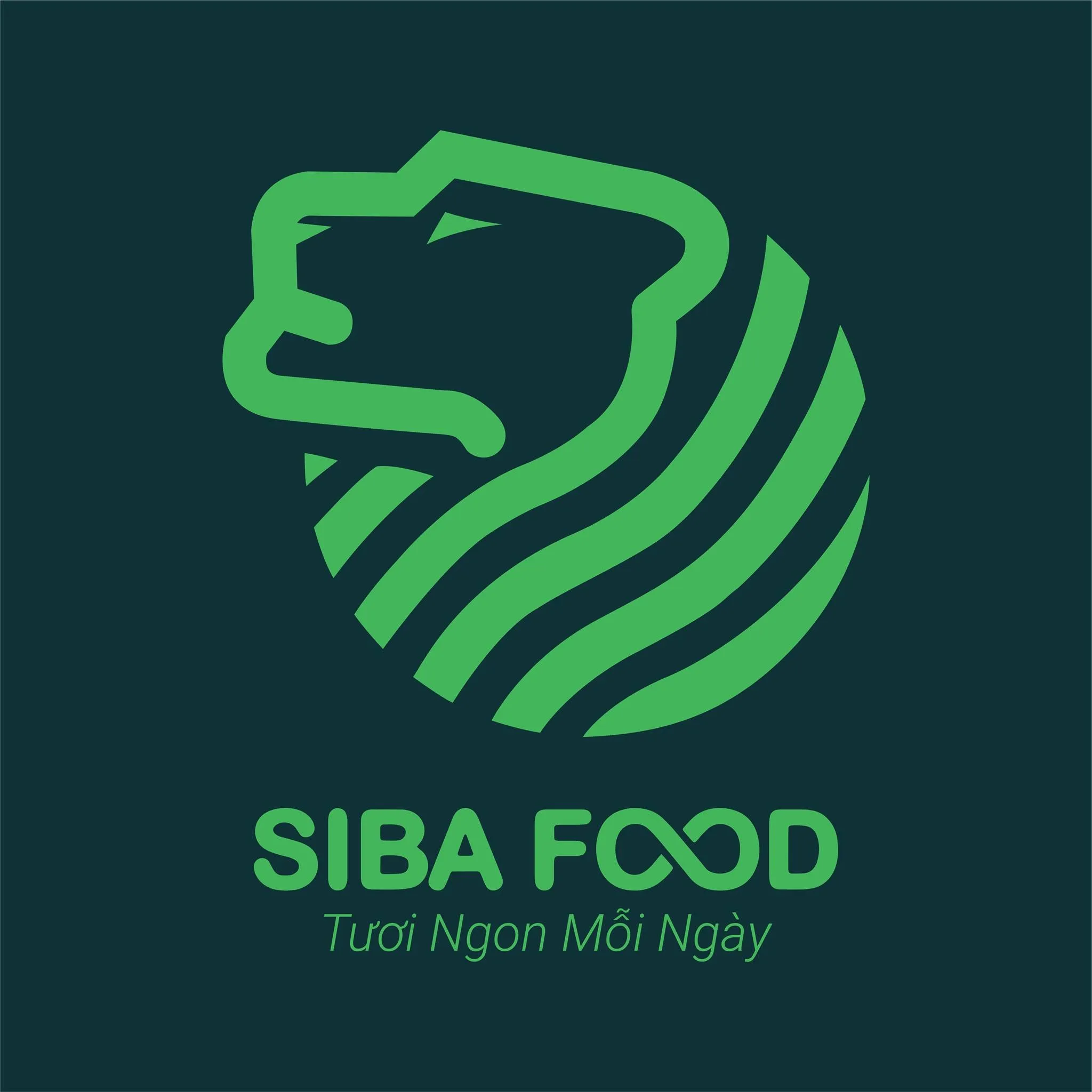 Logo CTY CỔ PHẦN SIBA FOOD VIỆT NAM