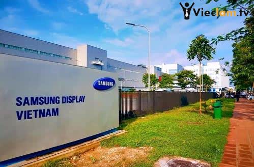 Logo CÔNG TY TNHH SAMSUNG DISPLAY VIỆT NAM