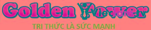 Logo Dau Tu Suc Manh Vang LTD