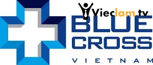 Logo CÔNG TY TNHH MTV BLUE CROSS VIET NAM