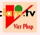 Logo VietPhap