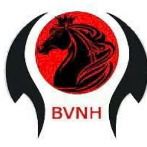 Logo Công ty cổ phần dịch vụ bảo vệ Ngọc hòa BRVT Logo Công ty cổ phần dịch vụ bảo vệ Ngọc hòa BRVT