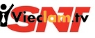 Logo Công ty cổ phần SNT Việt Nam