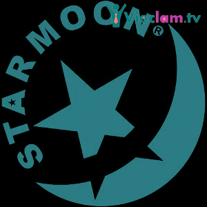 Logo STARMOON SYSTEM