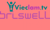 Logo Briswell Viet Nam LTD