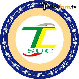 Logo Dau Tu Va Thuong Mai Thanh Cong LTD