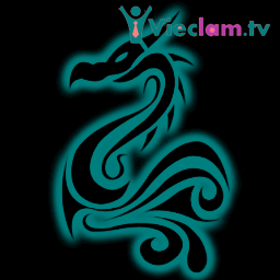 Logo Vietdragon company