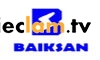 Logo Công ty TNHH BAIKSAN Việt Nam