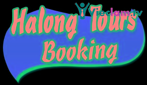 Logo Vina Cruises Tourist Company