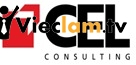 Logo CEL Consulting