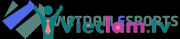 Logo VietNam Esport Logo VietNam Esport