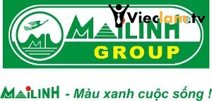 Logo Công ty Trách Nhiệm Hữu Hạn Một Thành Viên Mai Linh Hải Dương