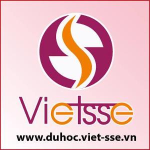 Logo Công ty cổ phần Việt-SSE