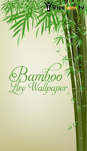 Logo Công Ty Du Lịch Sinh Thái The Bamboo