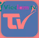 Logo Điện Máy Trường Việt