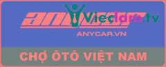 Logo Anycar Việt Nam