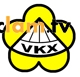 Logo Công ty TNHH VKX